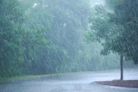 मारेगाव तालुक्यात गारपिटीसह वादळी तडाखा