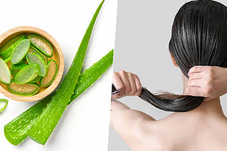 कोरफडचे पान केसांसाठी वरदान,जाणून घ्या लावण्याची पद्धत