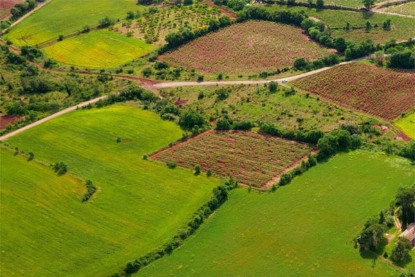 Pune district, Class-2 land, land misuse, Pimpri-Chinchwad, government land