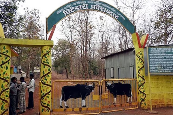 Navegaon Nagzira Tiger Reserve buffer zone, Ganesh Naik forest minister statement