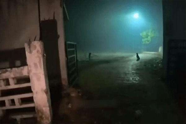 मध्यरात्री कब्रिस्तानातून कॉल, फूड डिलिव्हरी बॉय पोहोचला आणि घडल ते पाहून...VIDEO