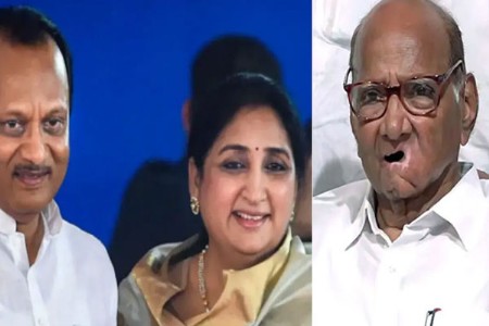 अखेर  पवार फुटले म्हणाले सुनेत्राच्या उपमुख्यमंत्रीपदावर  'मी आनंदी'