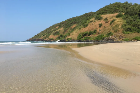 समुद्र किनाऱ्यावरील हवा स्वच्छ का असते?