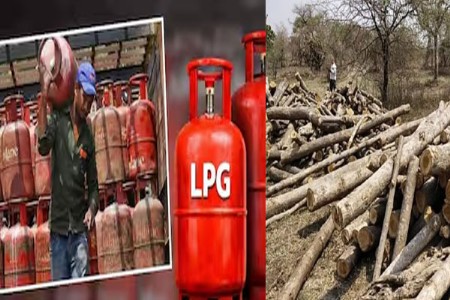 'गॅस टंचाई' जळाऊ लाकडांची मागणी वाढली