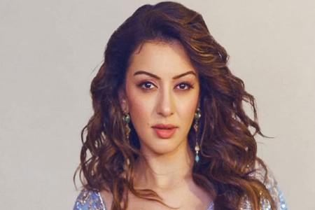 अभिनेत्री हंसिका मोटवानीचा चार वर्षानंतर घटस्फोट