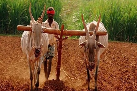 बळीराजाला करावी लागणार कर्जमाफी साठी प्रतीक्षा