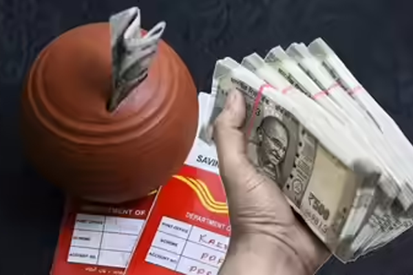 FD सिनिअर 