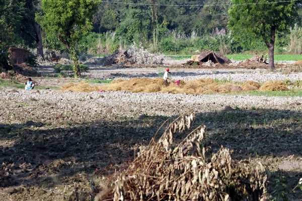 Maharashtra Land Records Department expansion