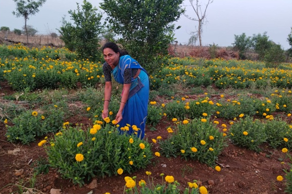 फुल शेती फुल शेती