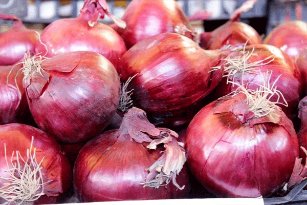 onion-in-uae-costs-rs-550-per-kg onion-in-uae-costs-rs-550-per-kg