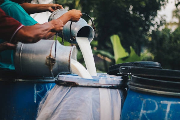 FSSAI milk crackdown