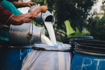 दुधात भेसळ करणाऱ्यांचे धाबे दणाणले!