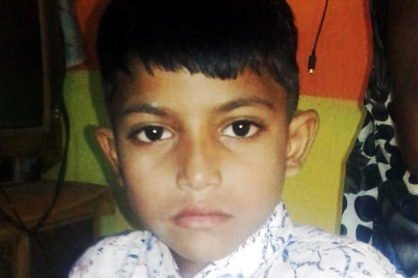 अस्वलाच्या हल्ल्यात