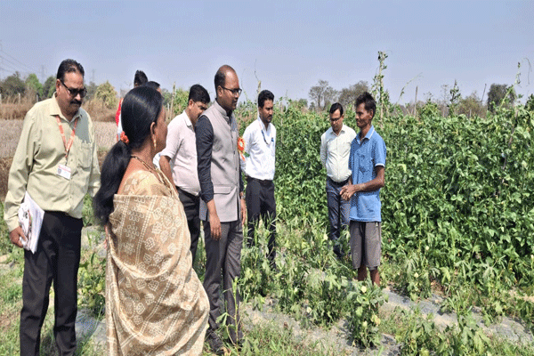 CEO directly CEO directly