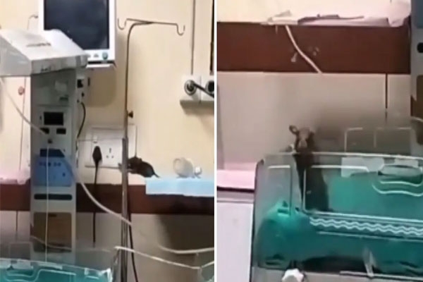 Mira Bhayandar, Pandit Bhimsen Joshi Hospital,