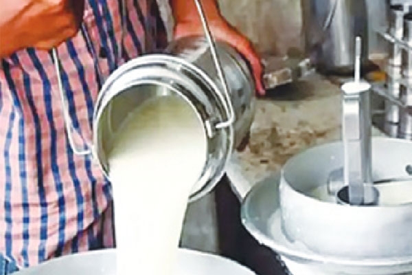 Dhule, Karwand village, contaminated milk,
