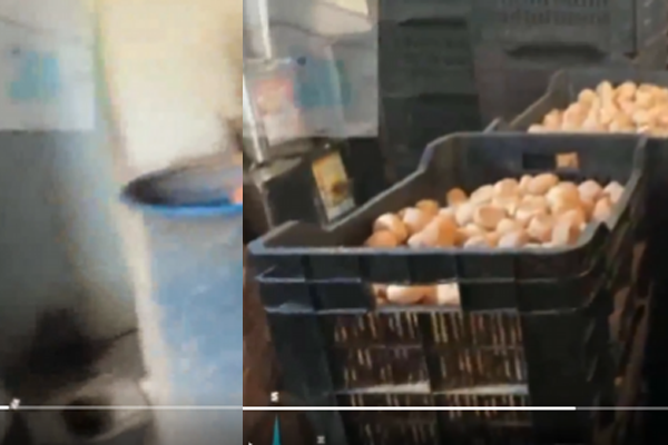 हैद्राबाद 