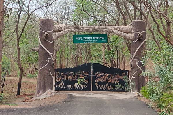 forest tourism rules