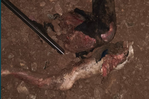 आधी मानवी अवयव.... अन आता संपूर्ण मृतदेह सापडल्याने खळबळ