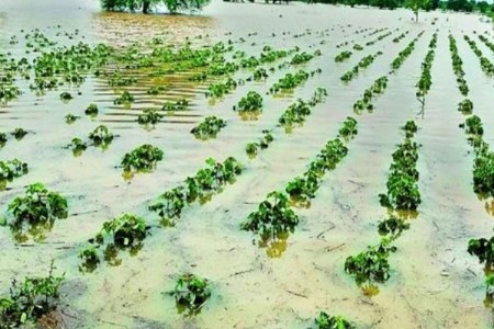 राज्यात अवकाळी पावसाचा कहर; अनेक जिल्ह्यांना ऑरेंज अलर्ट