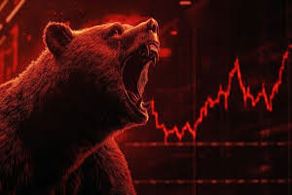 share market bear