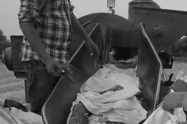 farmer-dragged-into-thresher