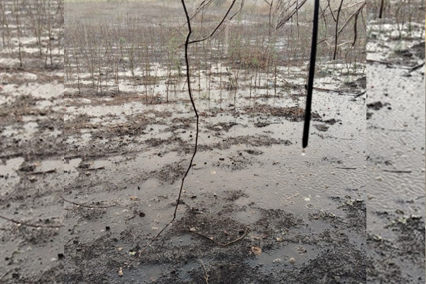 heavy rain in anjangaon