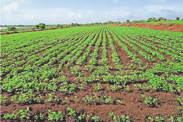 शेतजमिनीचा पोत वाढविणे आवश्यक