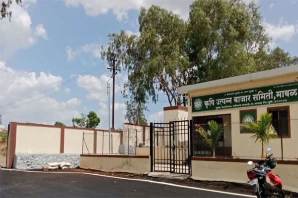  Maval taluka election