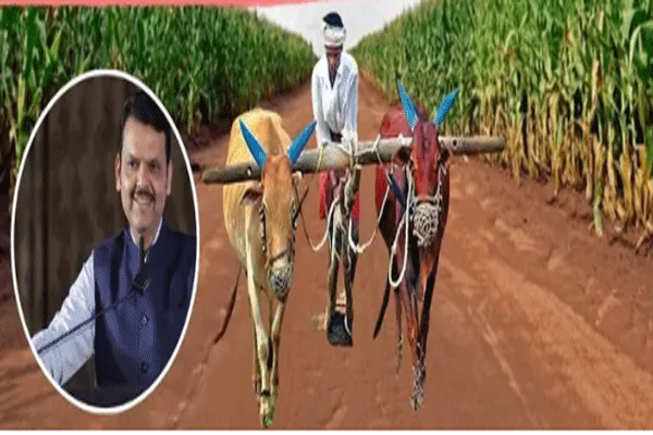 नियम मोडल्यास फटका! शेतकऱ्यांचा आधार ब्लॉक, योजना बंद