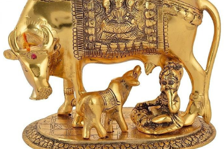 सर्व समस्या दूर करणारी कामधेनू गाय घरात ठेवण्याचे फायदे