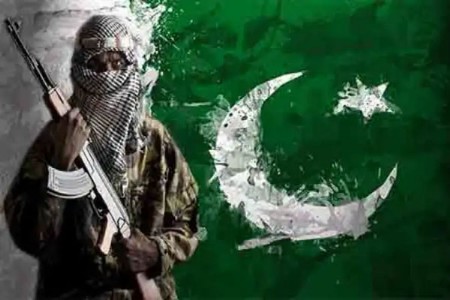 पाकिस्तान अजूनही दहशतवाद्यांचा बालेकिल्ला;भारताविरोधात कट!