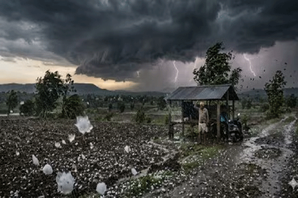 अवकाळीचा कहर! विदर्भात पाऊस-गारपिटीचा इशारा