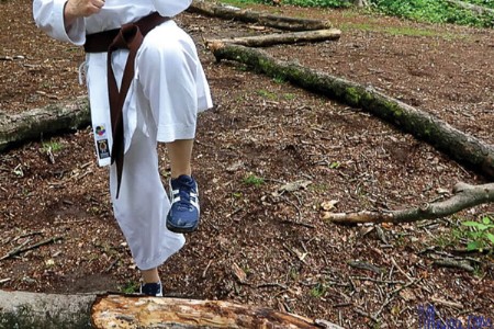 कराटे प्रशिक्षणातून ४७ वनरक्षक झाले सज्ज