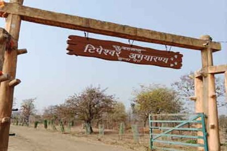 टिपेश्वर संवेदनशील क्षेत्रातील बेकायदेशीर १५ रिसॉर्टसला नोटीस