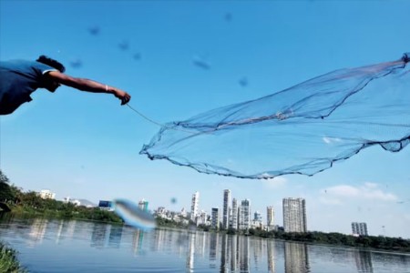 मत्स्य व्यवसायात महाराष्ट्र दुसऱ्या क्रमांकावर!