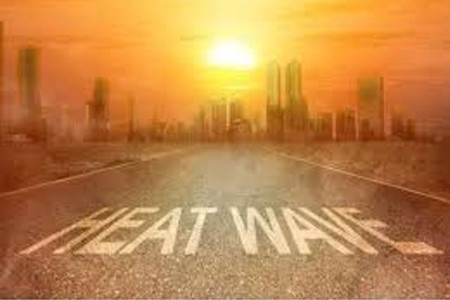 महाराष्ट्रात उष्णतेचा चटका वाढला 'या' जिह्यांना यलो अलर्ट