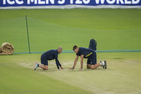 SA vs NZ: पिचचा मिजाज ठरवणार सामन्याचा वेग, टॉसची भूमिका निर्णायक