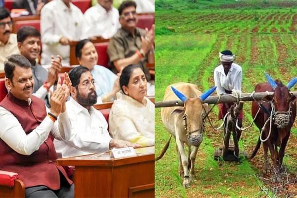  Maharashtra farmer loan waiver, farmer debt relief,