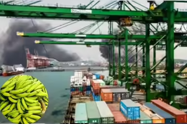 निर्यातदारांना नुकसान 