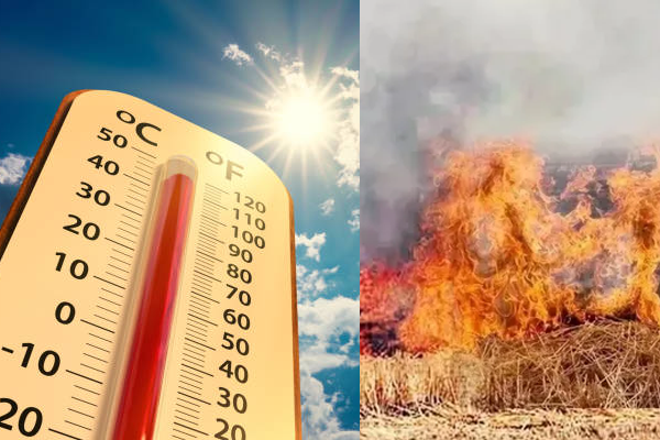 पराटीच्या आगीमुळे वाढले तापमान 