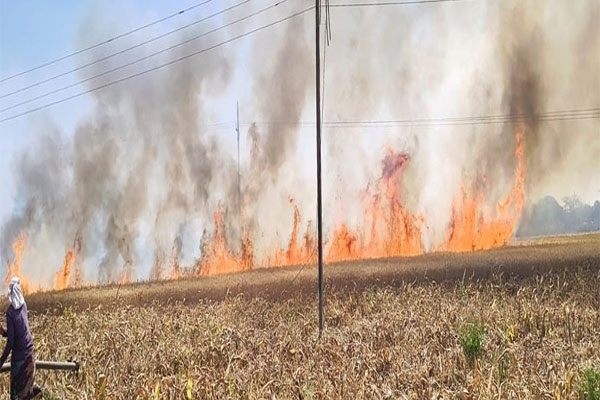 Washim wheat crop fire incident,