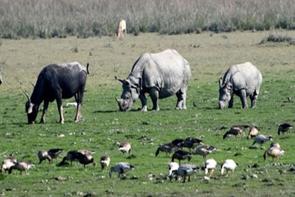 Chhatrapati Shivaji Maharaj Jayanti
