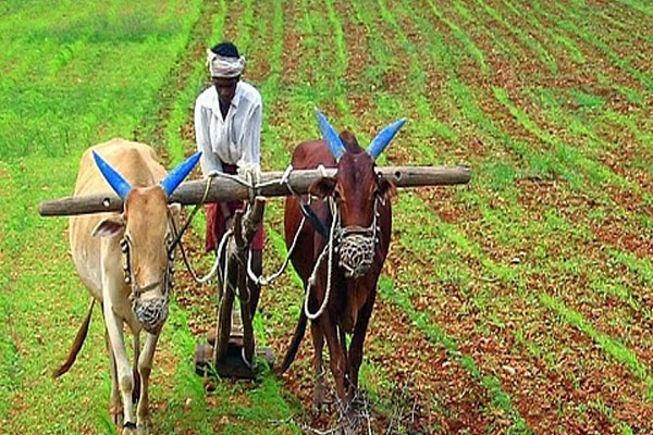 Farmer subsidy delay 