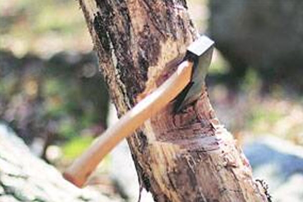 Wardha Municipal Council,