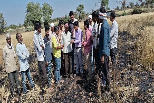 wheat crop fire due to electric spark Maharashtra