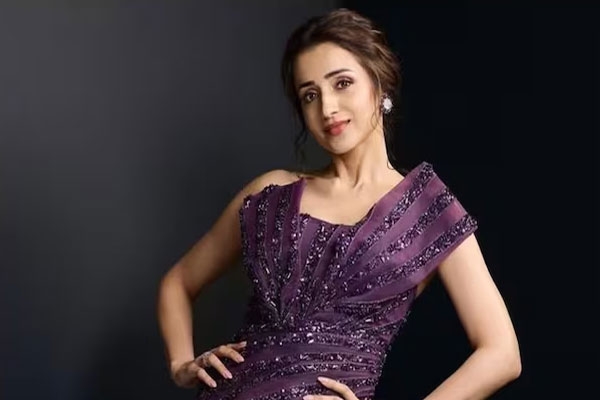 Vijay, Trisha Krishnan, personal life, divorce petition