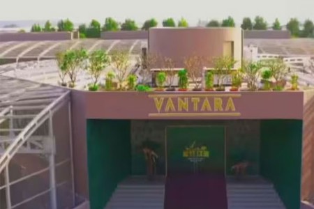 चार वर्षांत वनतारामध्ये २,६०२ वन्यप्राणी आयात