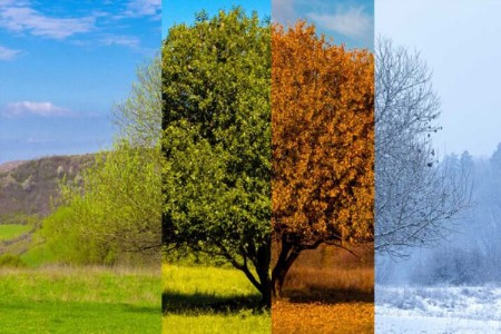 वाळवंटात पूर, हिमालयात उष्णतेची लाट; भारतातील ऋतूचक्र विस्कळी!