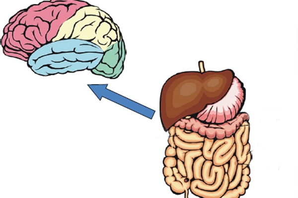 पचनसंस्था देखील बनवू शकते मानसिक आजाराचे कारण